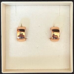 Amor Stainless Steel Rose Gold Color Huggies Earrings